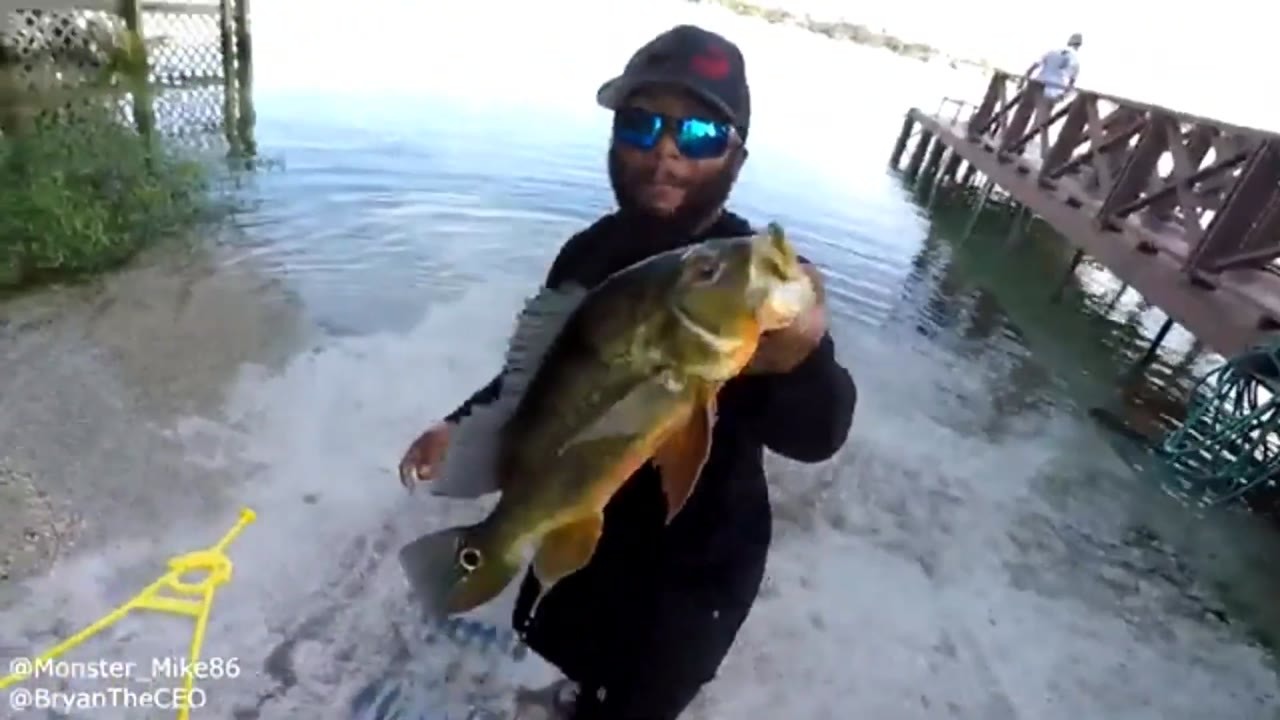 Watch how this remote controlled boat caught an absolute monster from ...