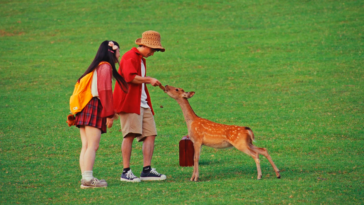 My camera captured rare moments of a highly intelligent deer