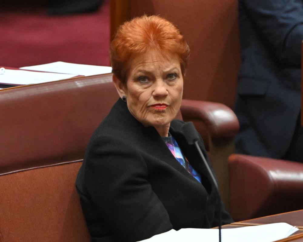 Pauline Hanson's domestic violence comments were no stumble