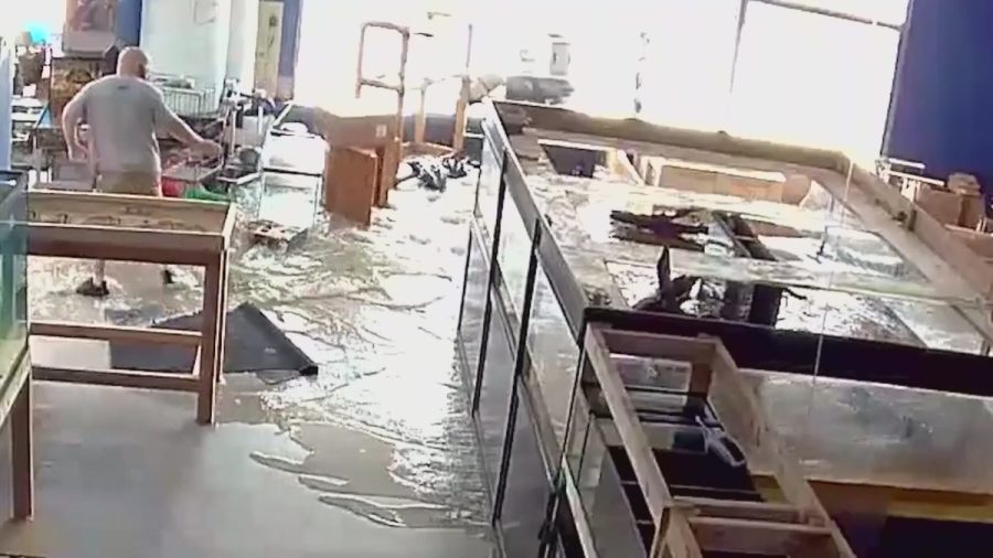Watch: Massive fish tank explosion floods Illinois pet store