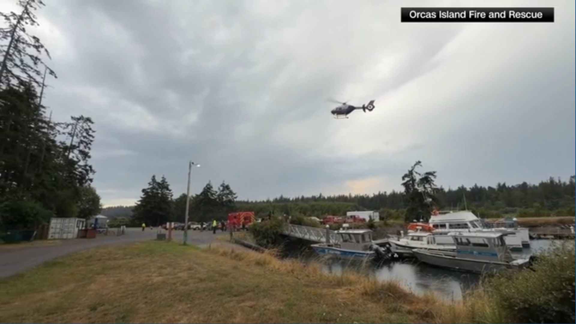 Video shows rescue operations after seaplane crashes in Washington