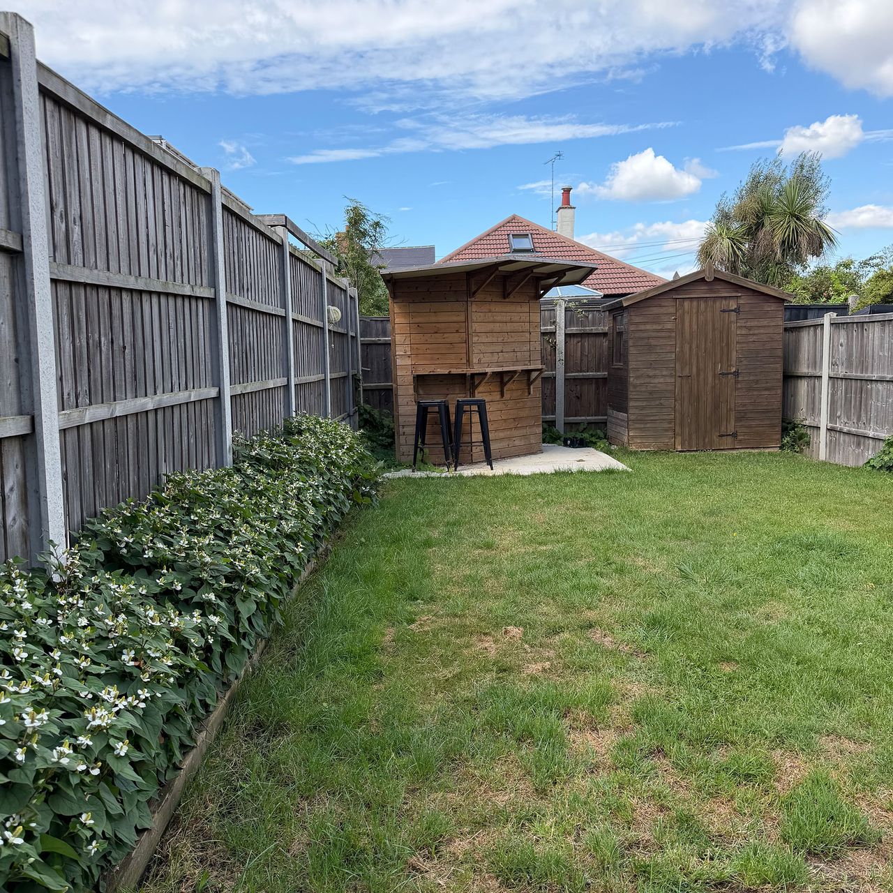 The unexpected lessons from my first weekend gardening