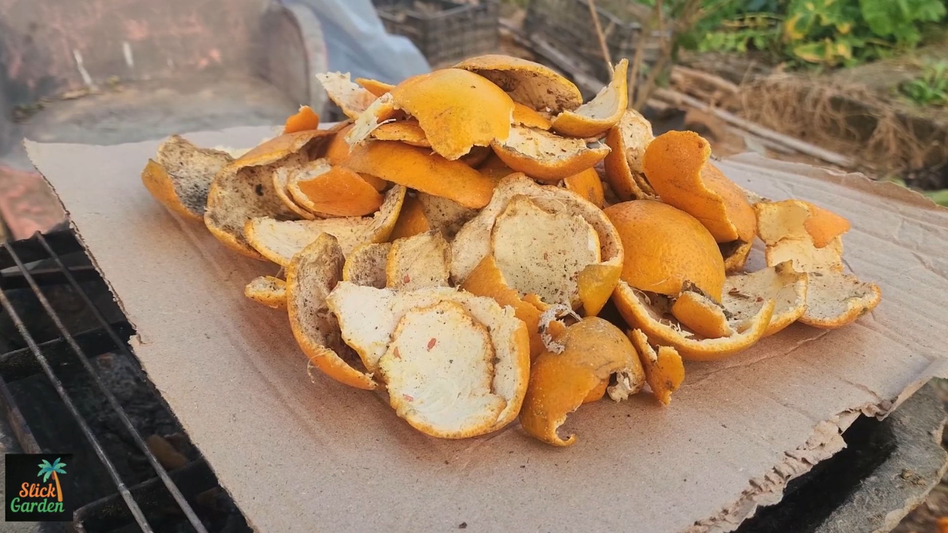 How to use orange peels as organic fertilizer & natural pest control