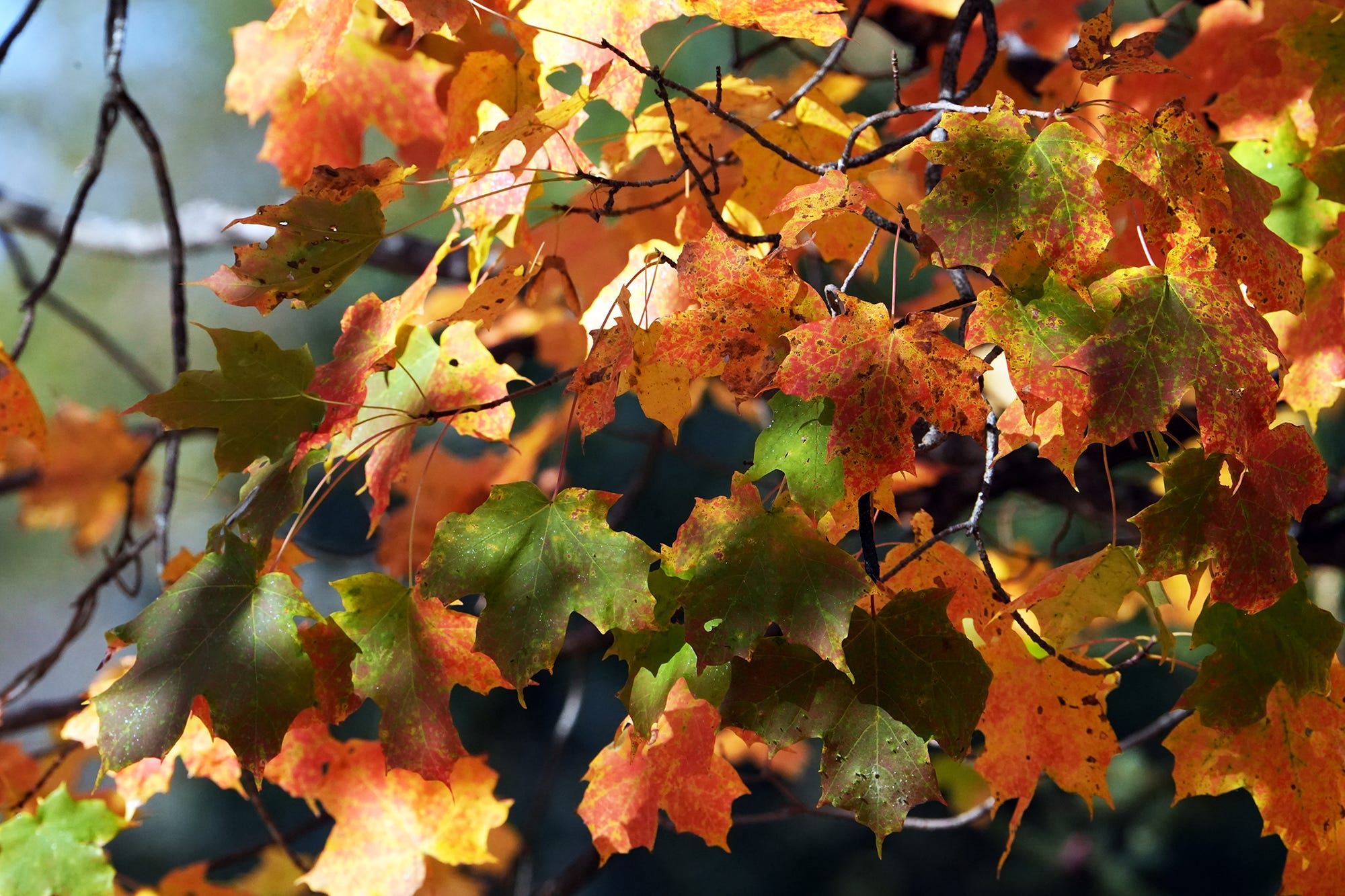 Today is the first day of fall, but the autumnal equinox happens late