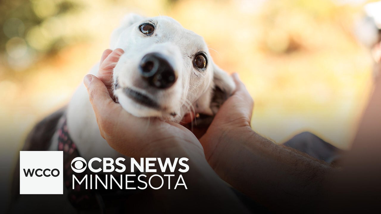 New Minnesota law allows unused vet drugs to be donated to pets in need