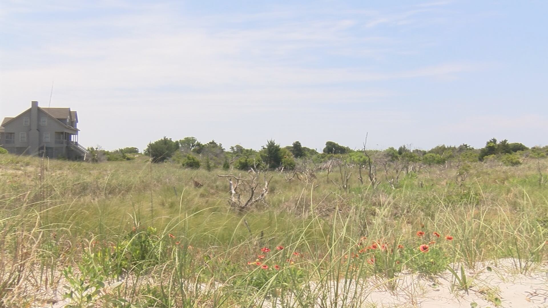 Topsail Nature Preserve temporary closure: What visitors need to know ...
