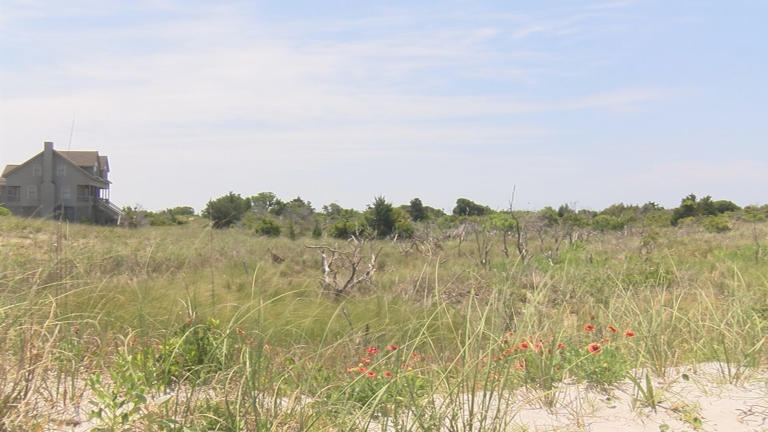 Topsail Nature Preserve temporary closure: What visitors need to know ...
