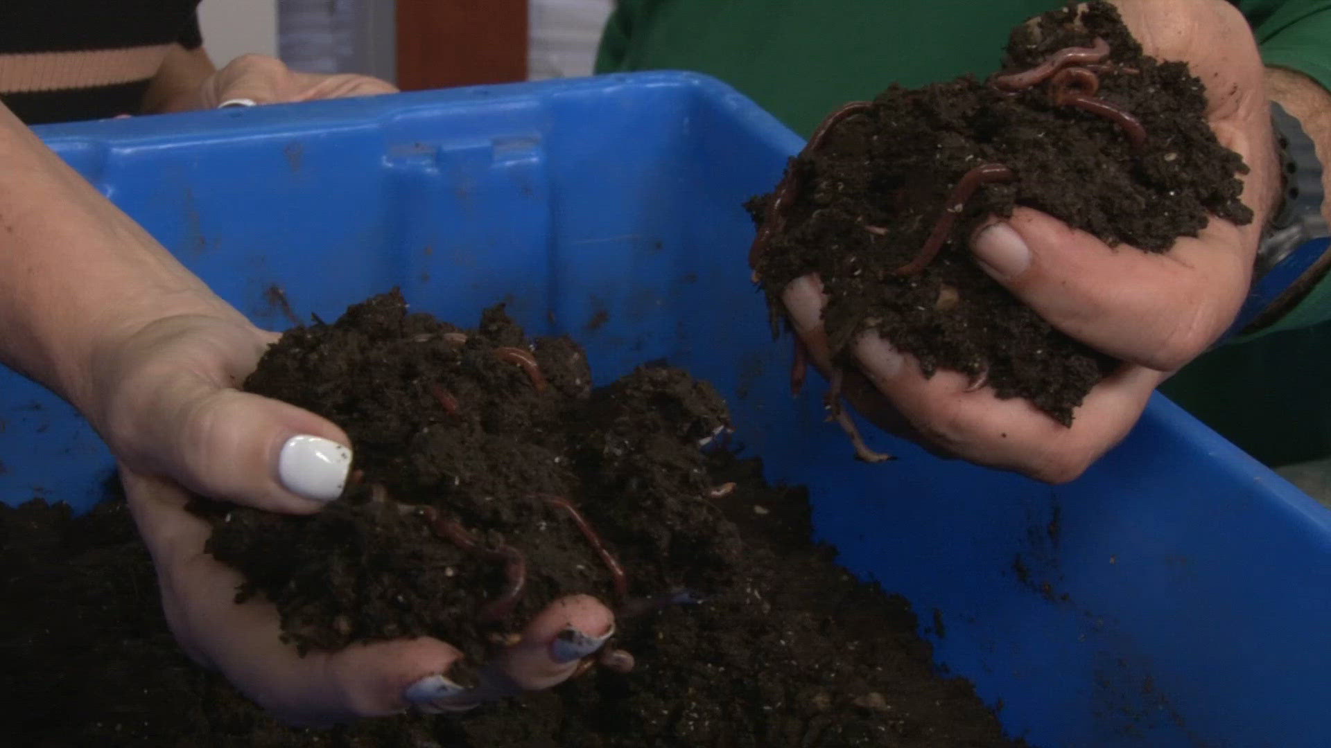 Why red wiggler worms are the backbone of sustainability at Arizona ...