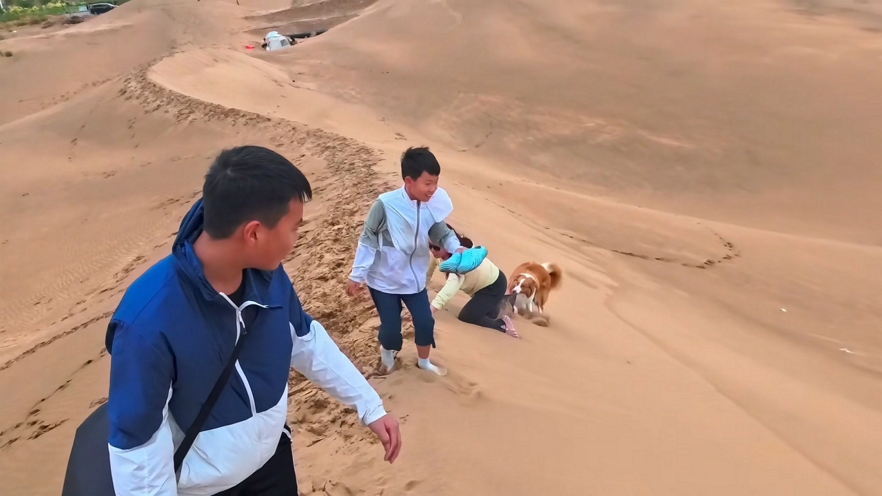 Dog hilariously stops woman from standing up
