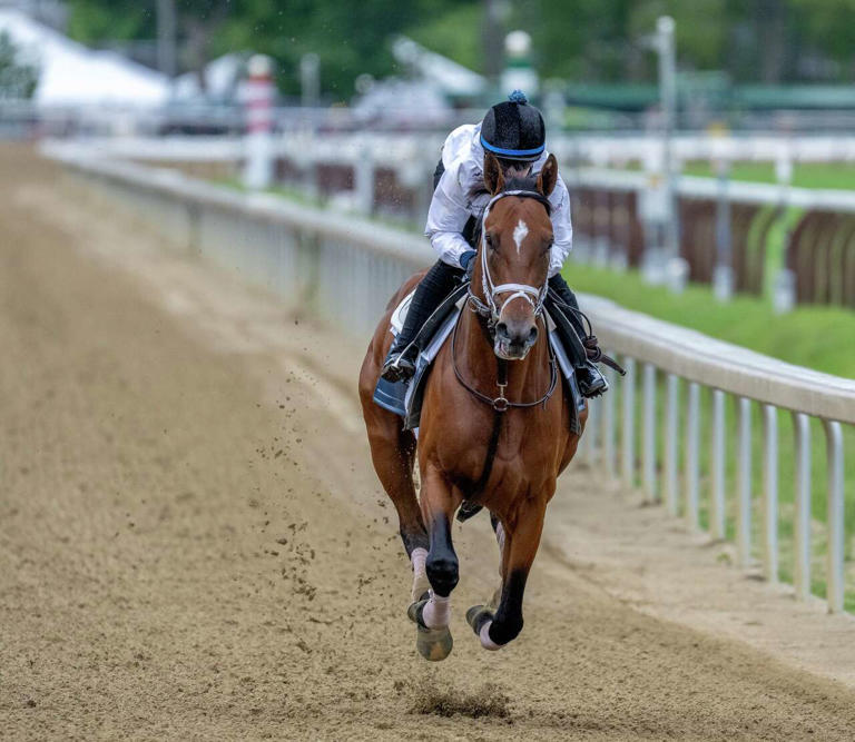 2025 Preakness winner, Derby and Belmont runner-up Journalism retires