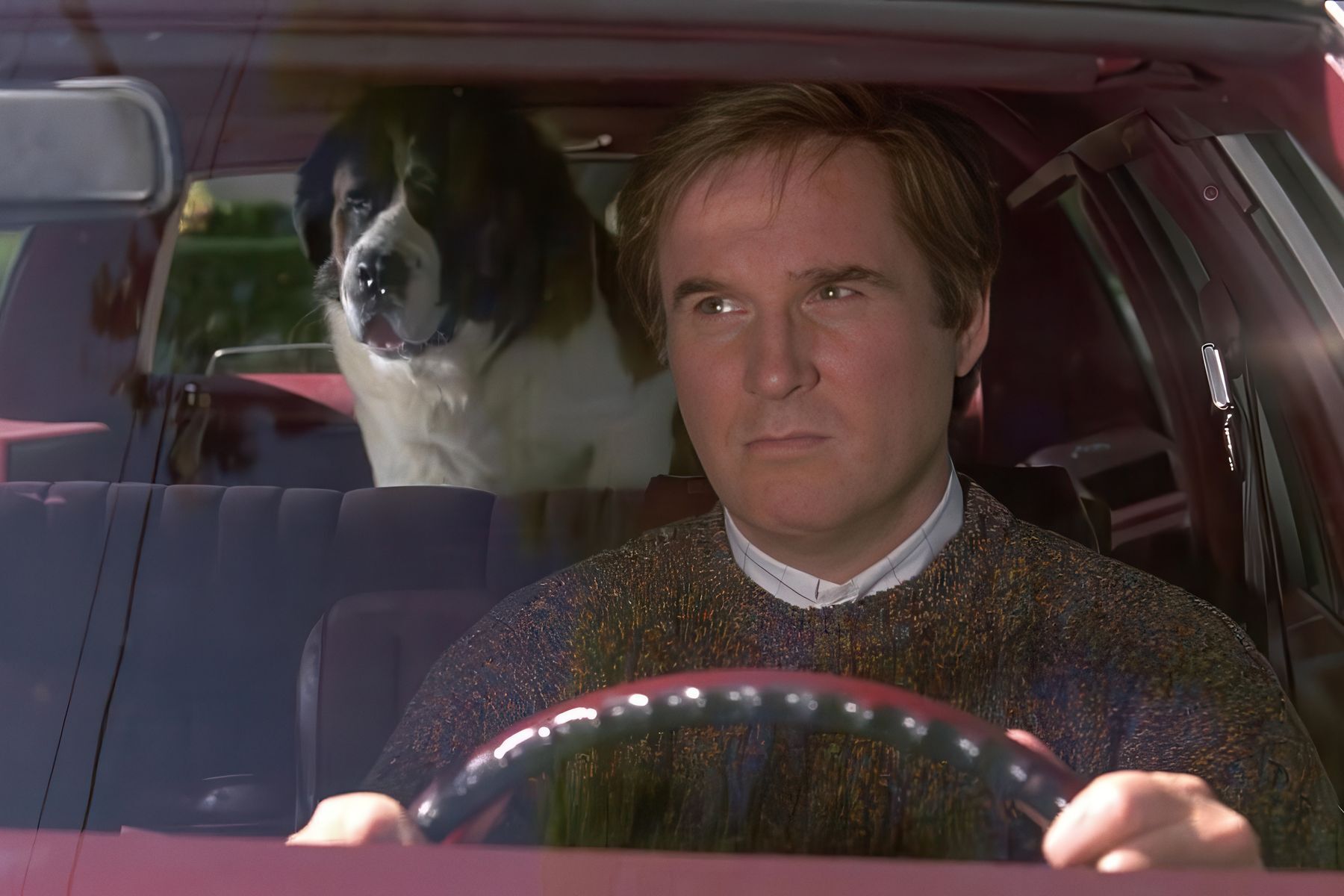 10-annoying-things-dogs-do