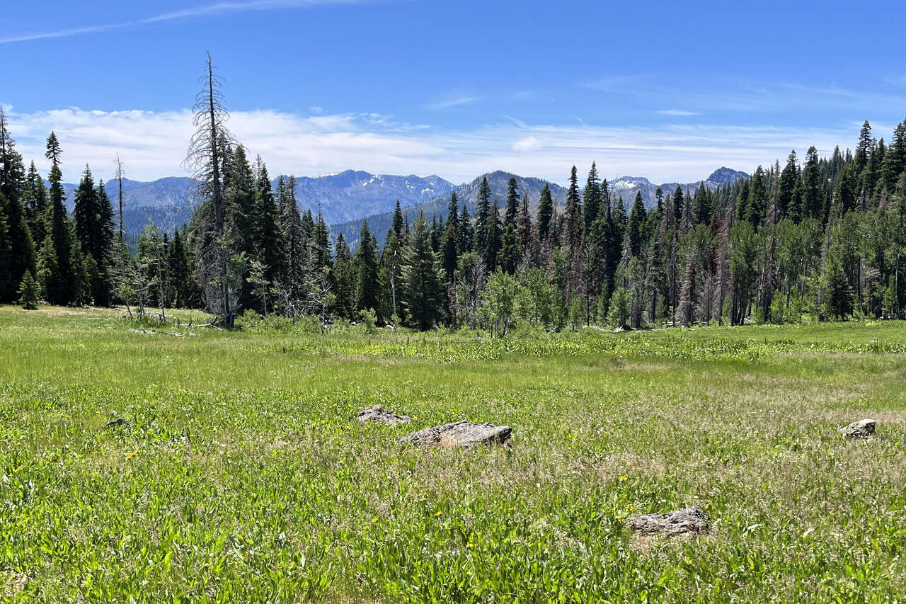 Tribe to acquire 40,000 acres of 'absolutely beautiful' ancestral land in Northern California