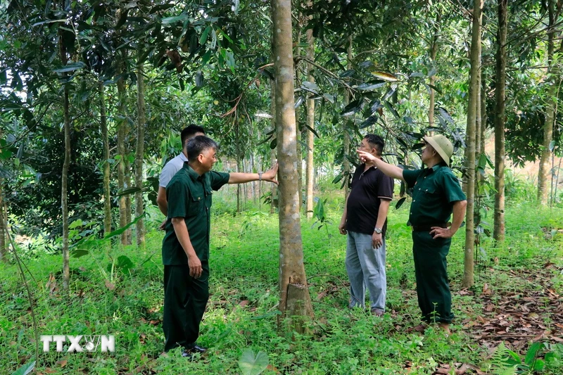Từ lửa đạn đến thủ lĩnh kinh tế thời bình