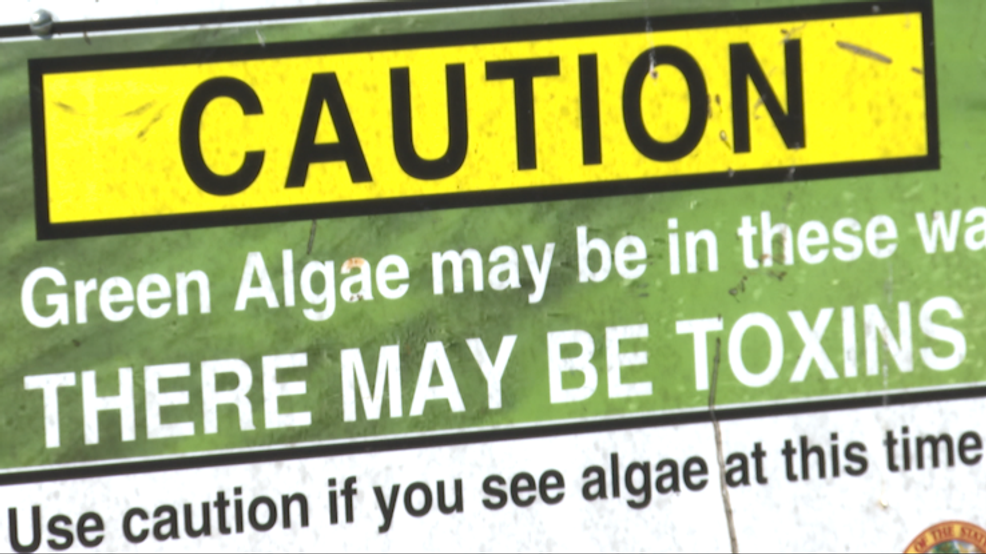 Toxic blue-green algae health alert issued for parts of Lake Okeechobee