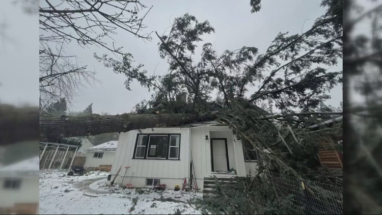 Couple awarded damages from city of Portland after it refused a permit ...