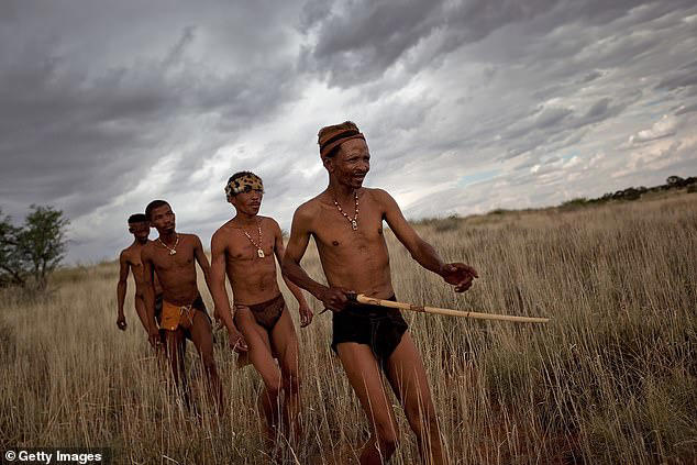 For the vast majority of our history, humans have lived in small hunter–gatherer societies, like the San Bushman of the Southern Kalahari (pictured), but modern life has changed faster than we can adapt