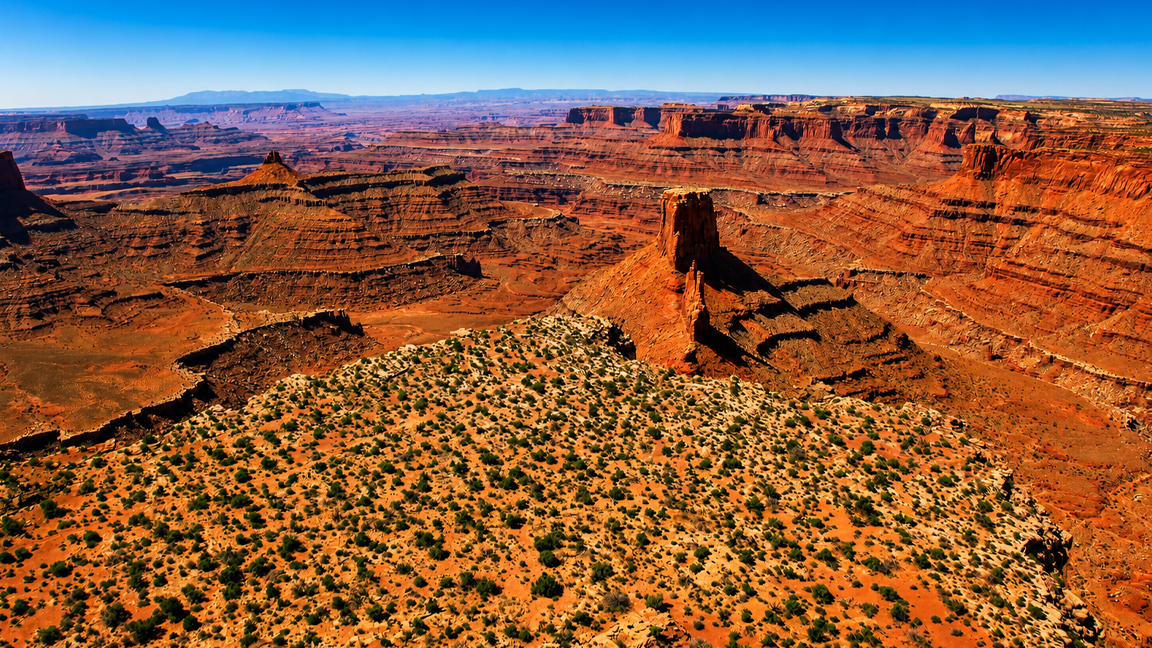 The vast red rock canyons of Canyonlands National Park