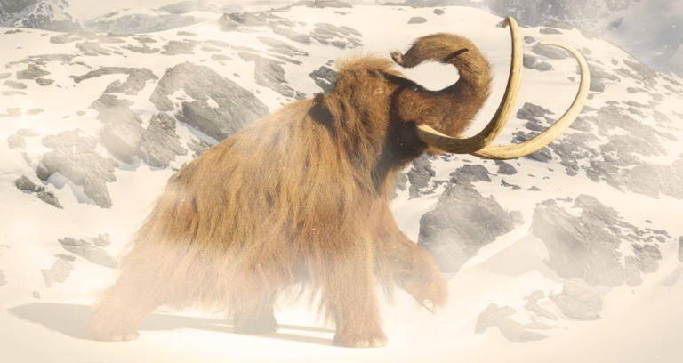 A new study suggests that pollen allergies may have driven woolly ...