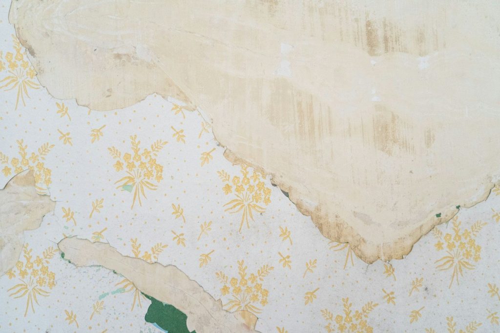 Hidden history hacks you can spot by looking beneath old wallpaper