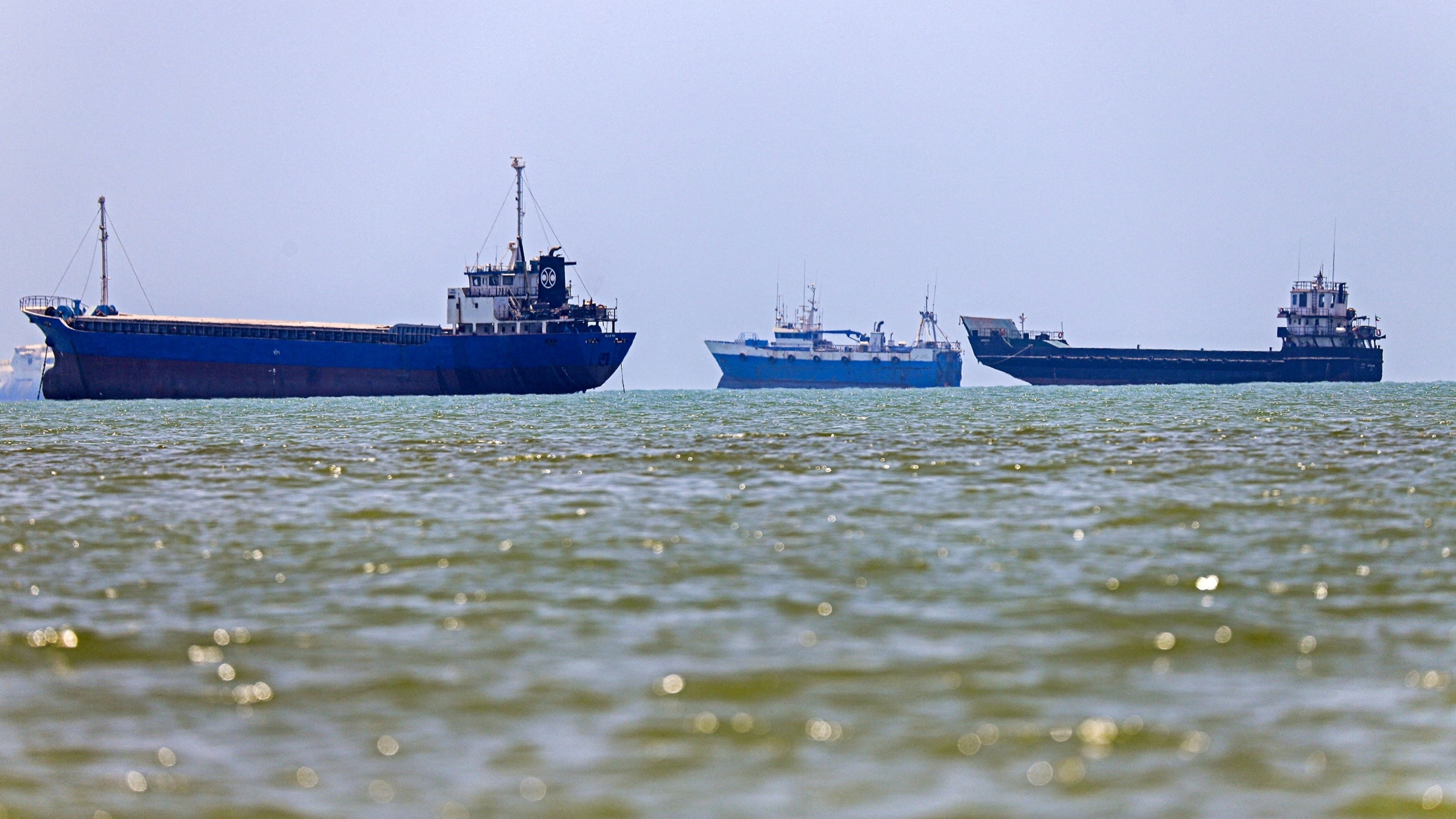 Stalled vessels near Strait of Hormuz could trigger invasive species catastrophe