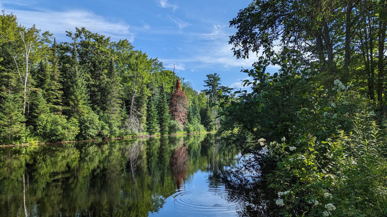 Between Toronto and Ottawa sits Canada's charming Ontario town with ...