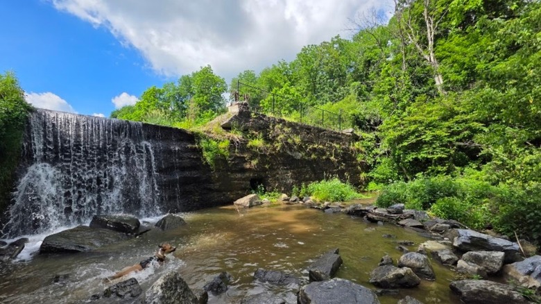 Charming Pennsylvania Getaway Just Outside Allentown with Lehigh Valley Parks