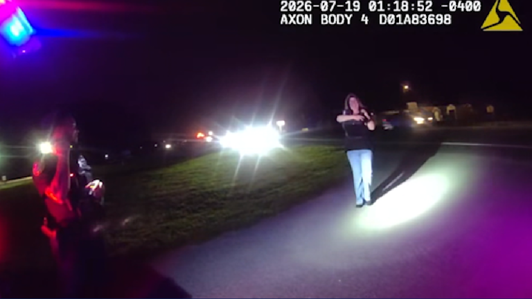 Stray kitten rescued by Florida deputy during DUI stop finds forever home