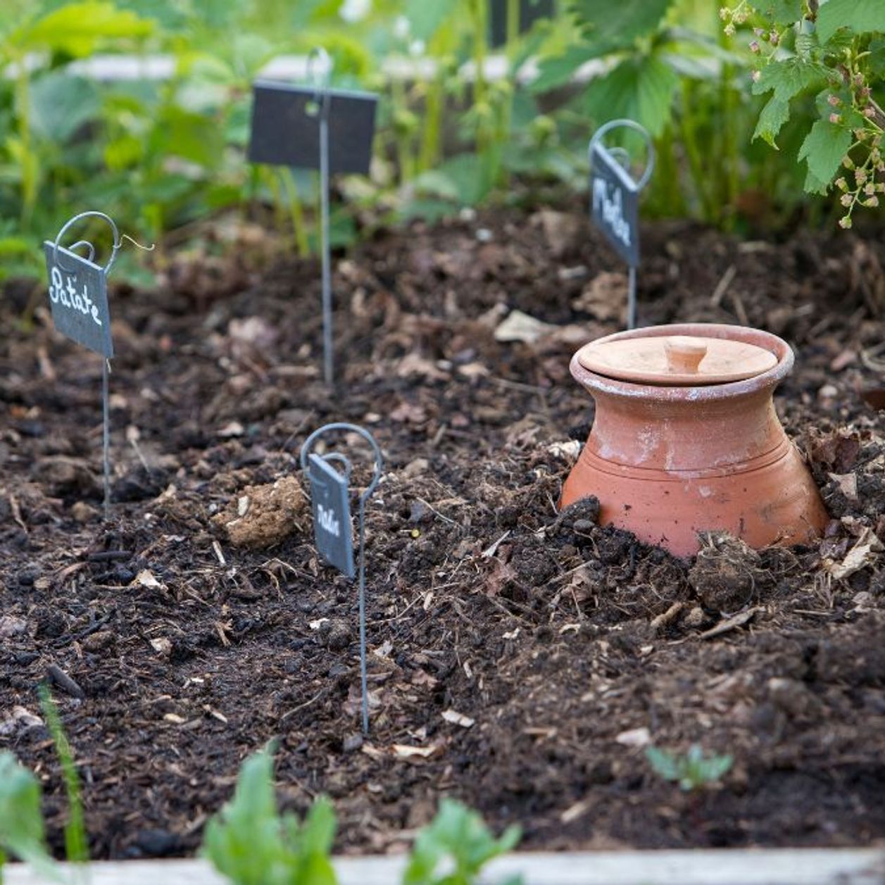Même avec 10 m², cette méthode permet de récolter bien plus de légumes ...
