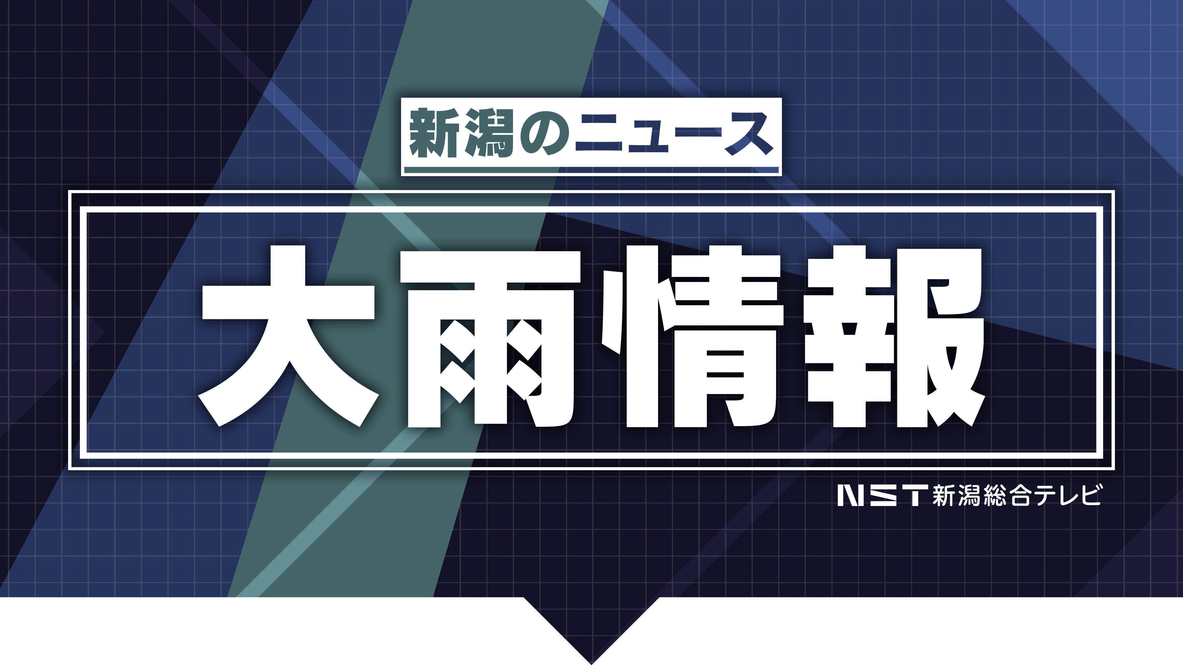 【交通情報】新潟県内の在来線で運休や遅れが発生 JR東日本発表（午後2時35分現在）