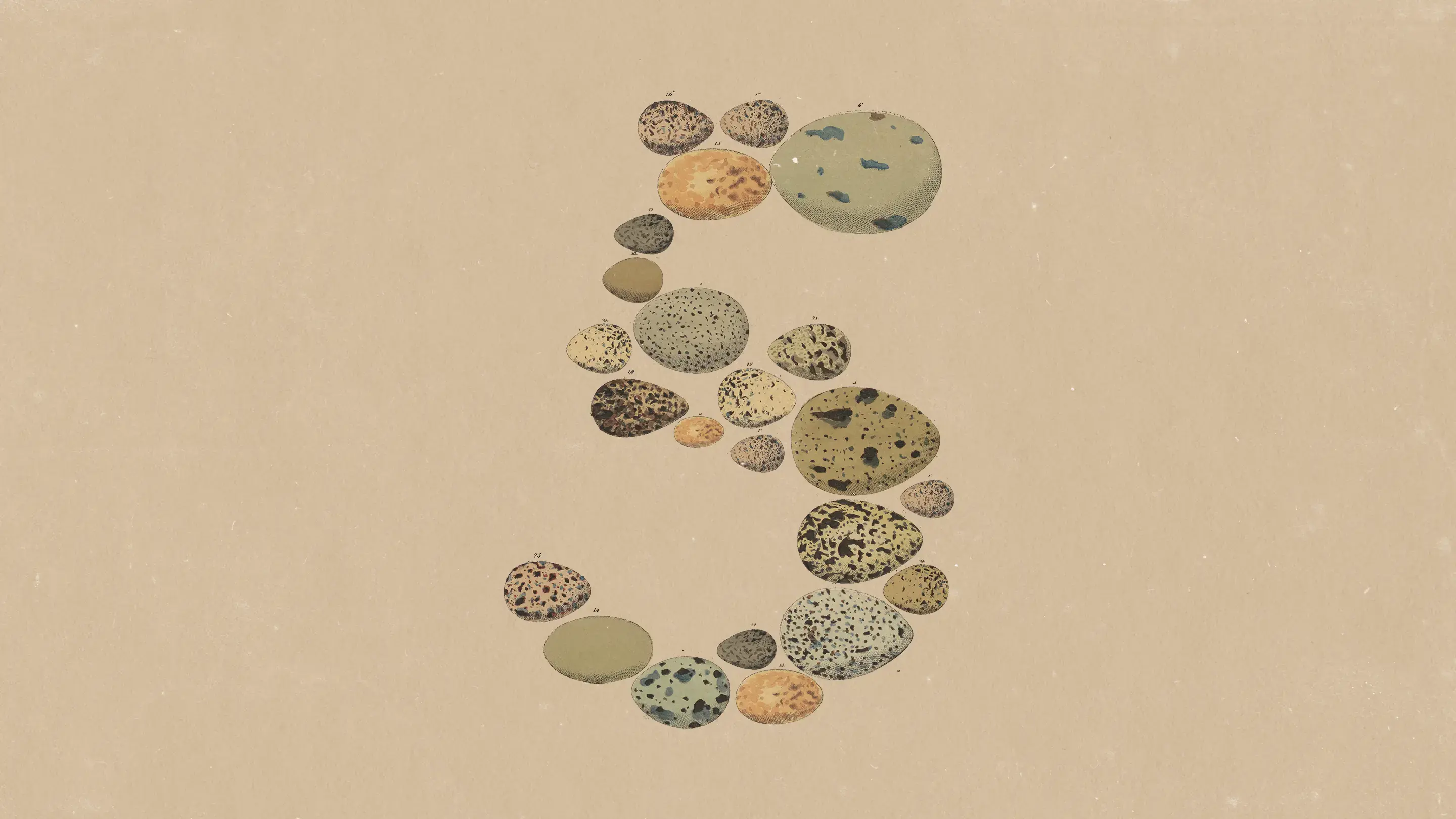 Claude Opus 5 is here, tops Fable 5 on agentic search, Anthropic says