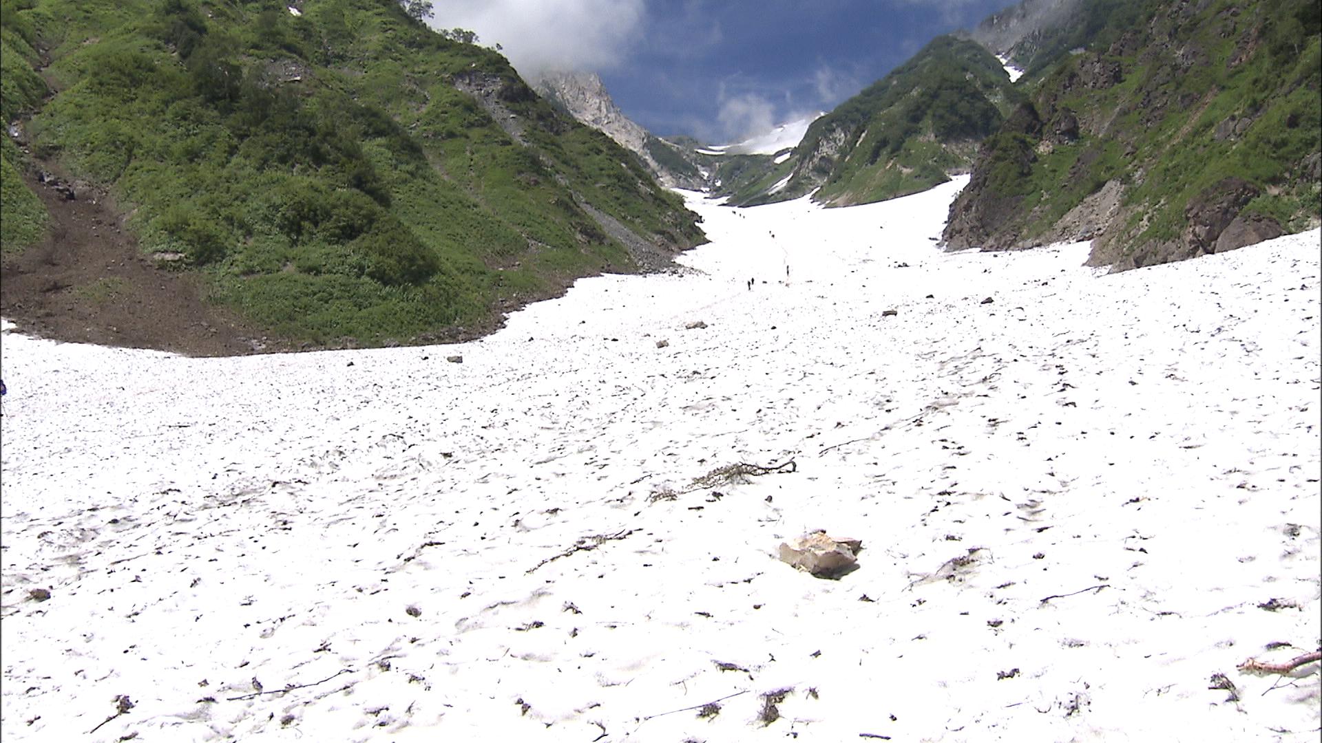 15人のツアー登山なのに1人だけ雨に打たれて... 救助を要請したのは通りがかりの登山者 北アルプス白馬岳で東京の61歳男性が行動不能に 救助 ...