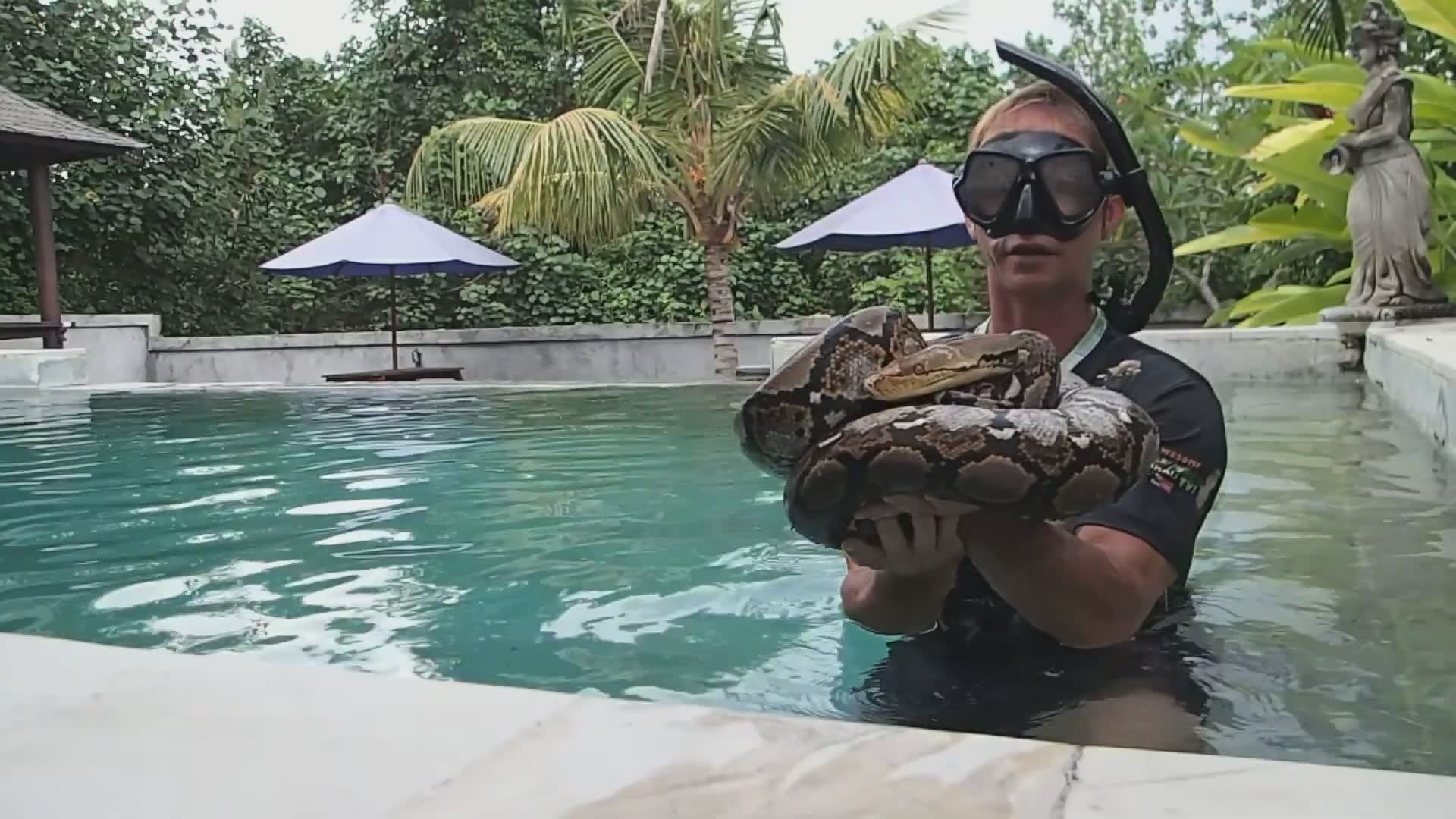 Witnessing enormous python strength caught on camera