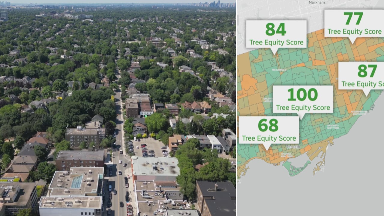 What Toronto’s tree canopy map reveals about equity of shade access in ...