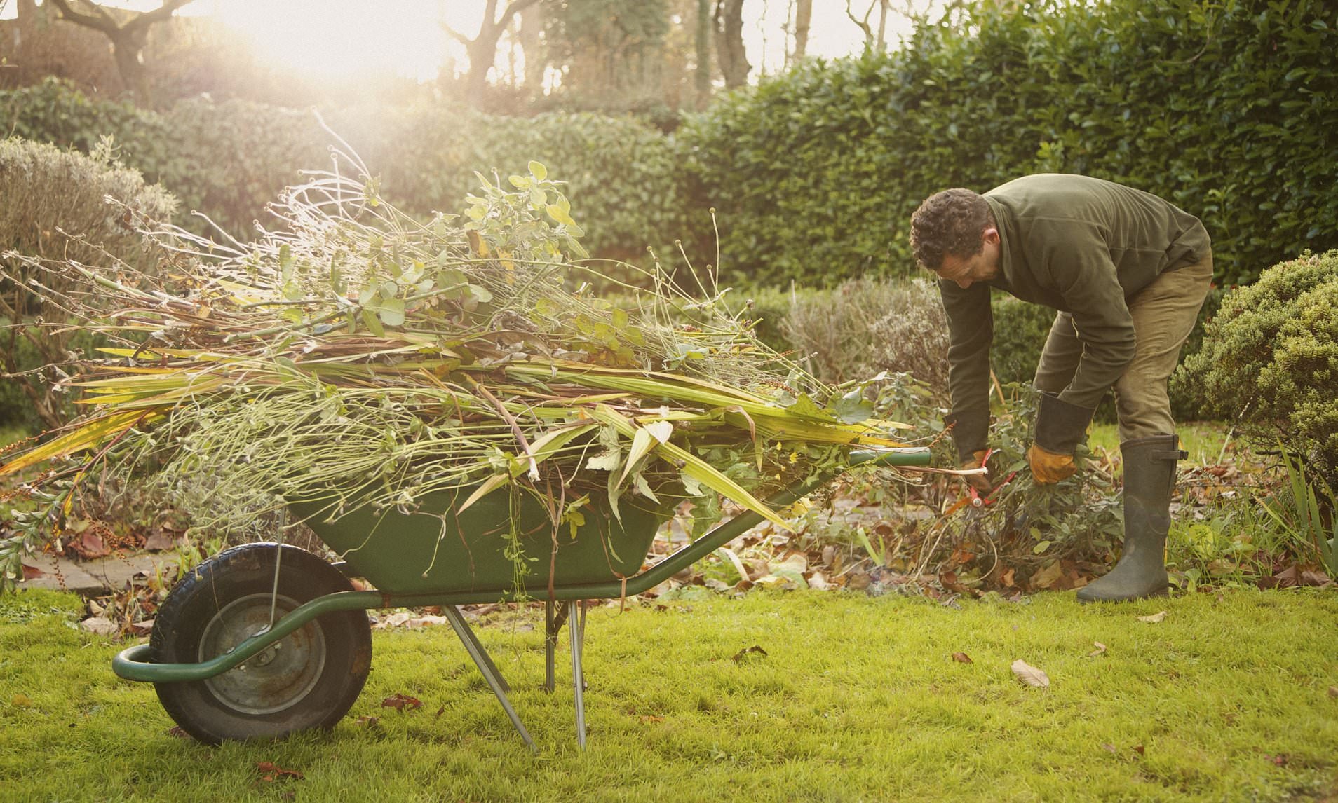 The five most hated garden tasks and how to tackle them