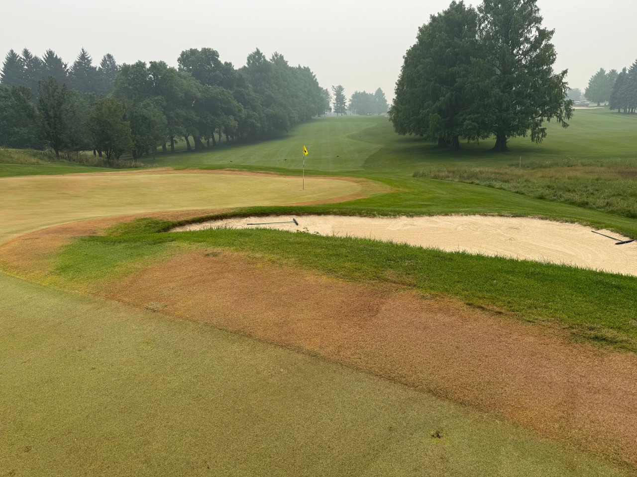 A mystery consumes a Michigan golf course: Who turned the grass orange?