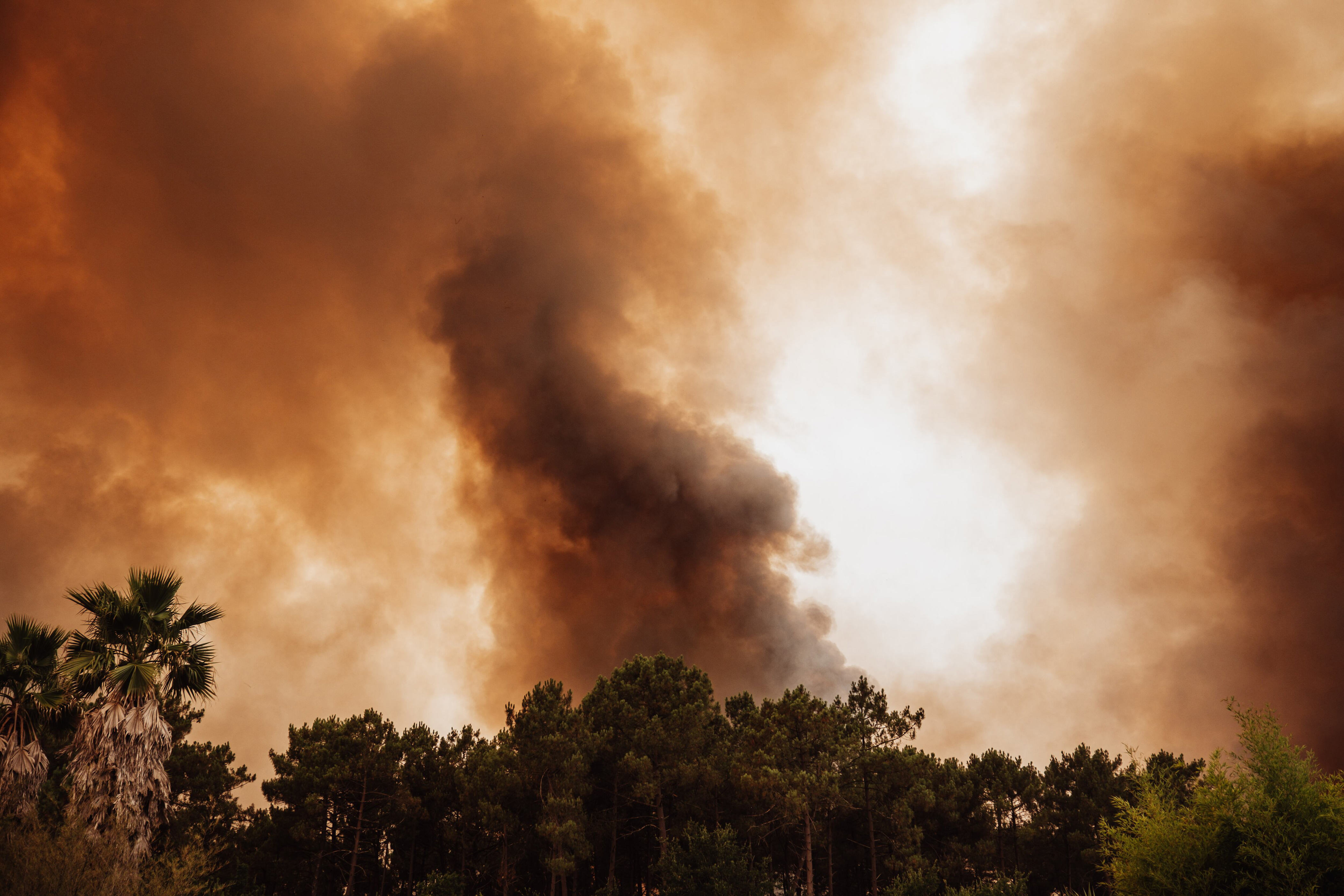 orage-de-feu-qu-est-ce-que-le-pyrocumulonimbus-observ-en-marge