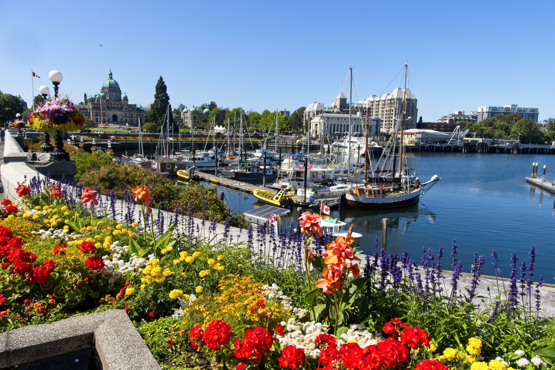 Victoria, BC., by sea and sky: Floatplanes, whale watching and coastal ...