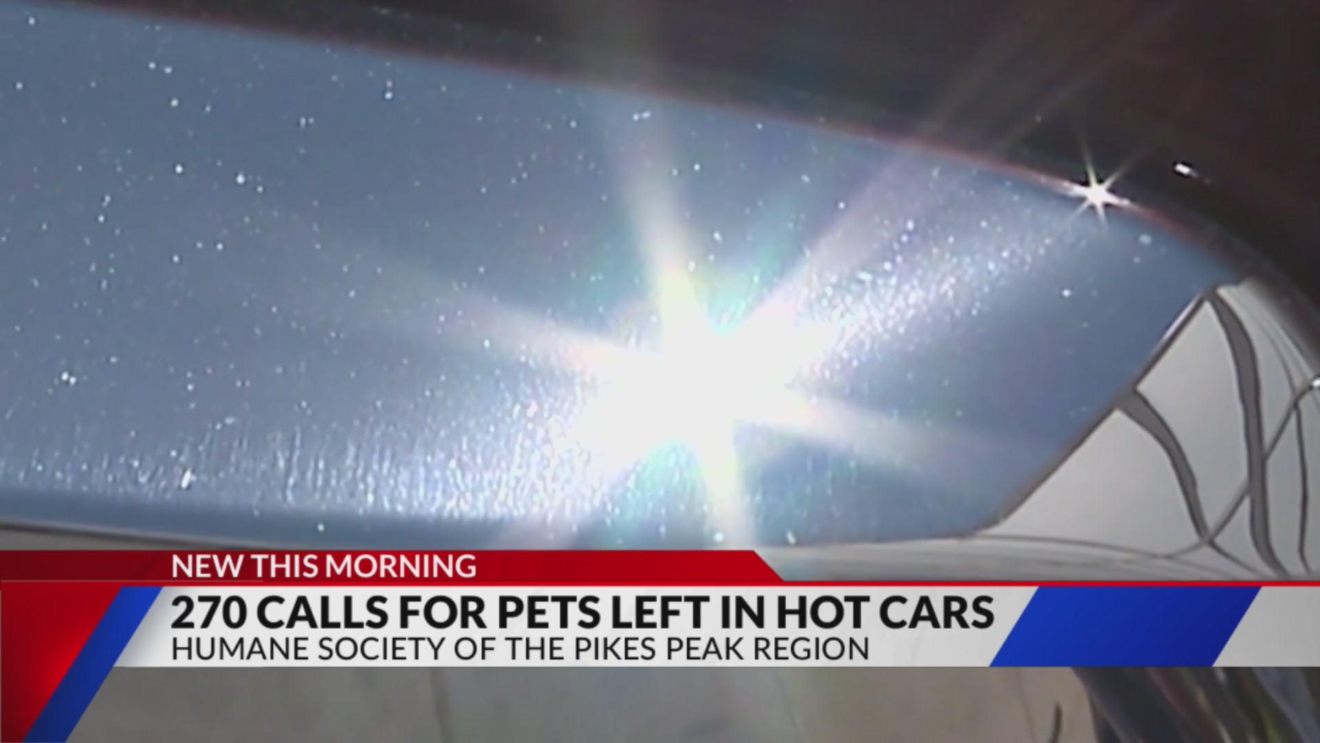 Animal law enforcement responds to 270 calls for pets left in hot cars