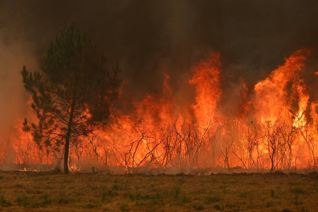 Wildfires rage across Europe, threatening France's Bordeaux region