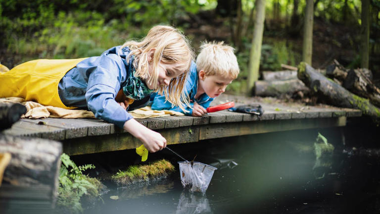 Child psychologists recommend nature-based play as the best outdoor ...