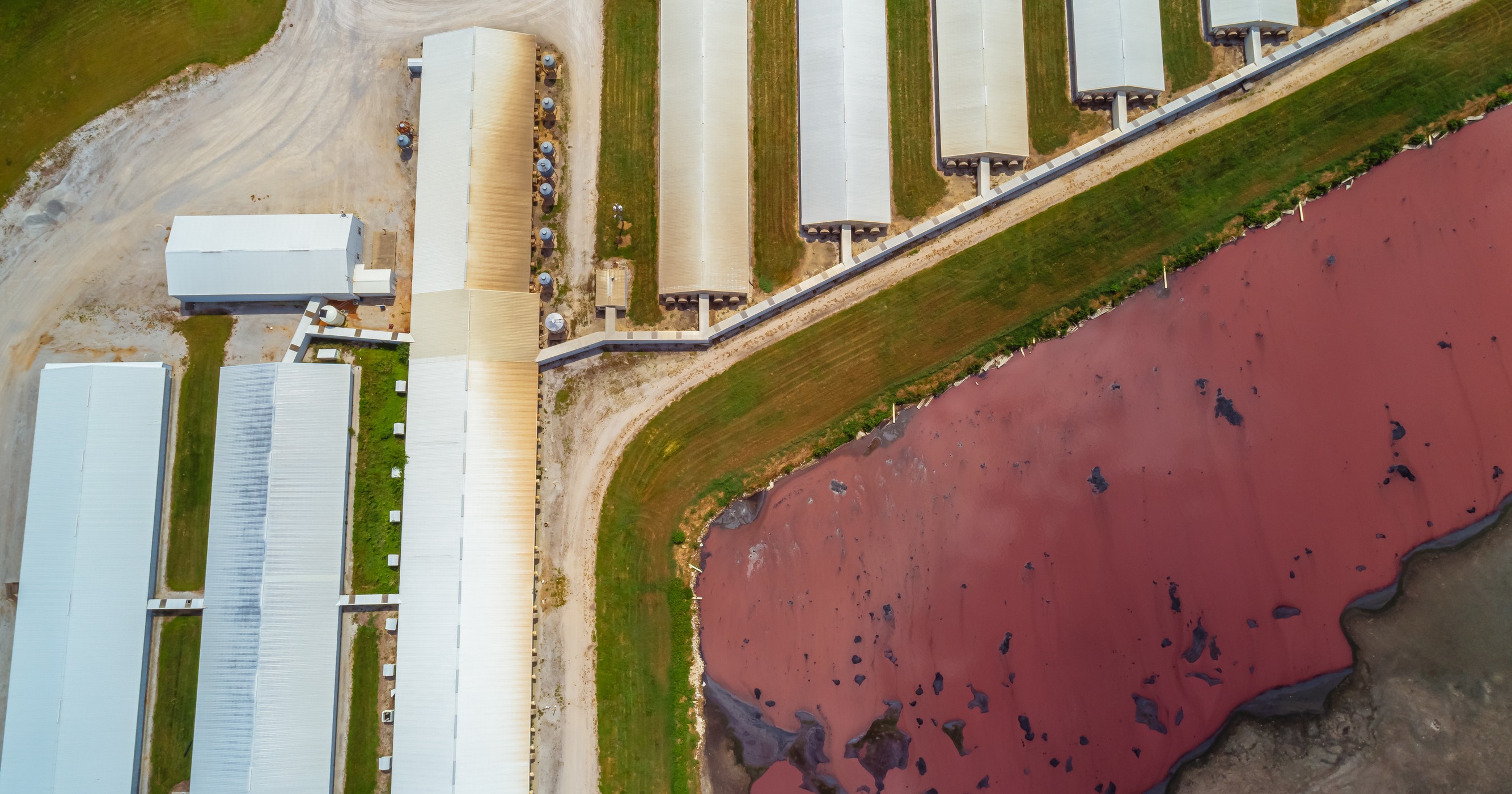 Minnesota's mega-dairy movement crosses paths with public scrutiny