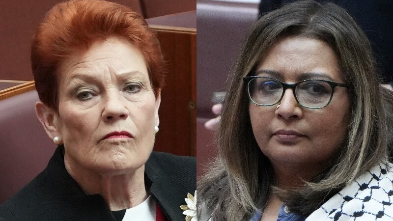 Pauline Hanson fails in appeal bid against racial discrimination of Mehreen Faruqi