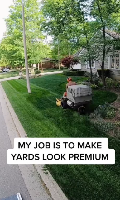 Perfect lawn process, step-by-step lawn care guide