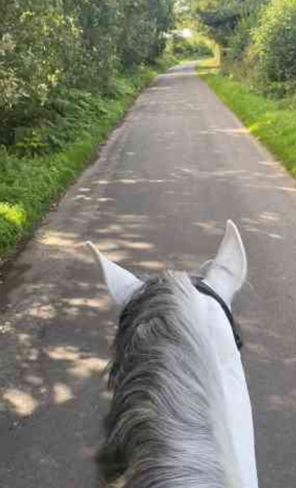 Why relaxed horse rides make exploring nature so enjoyable