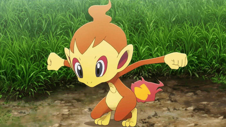 Chimchar playing in a field in Pokemon anime.