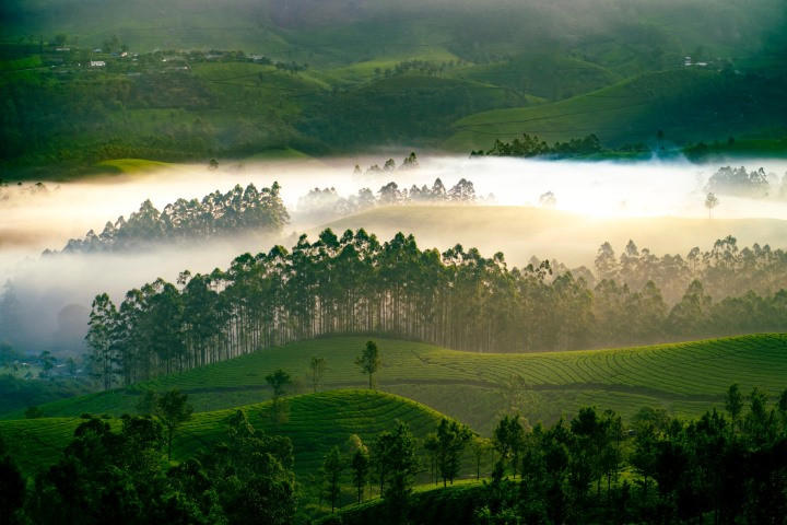 21-best-places-to-visit-in-august-2026-in-india-top-destinations