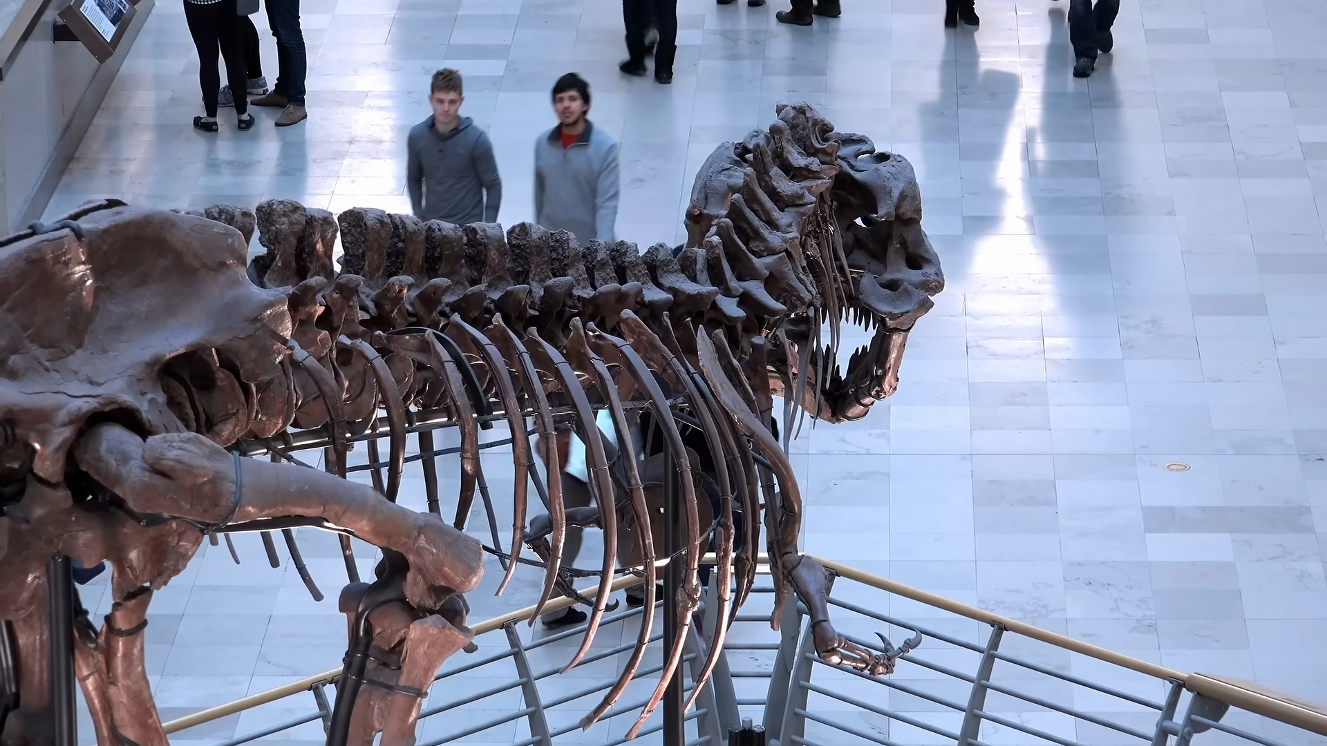 Scientists found new clues hidden inside T rex bones - the results are ...