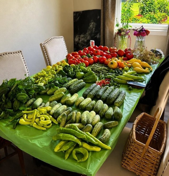 Gardener hauls in peppers, tomatoes, and cucumbers, then cans pickles ...