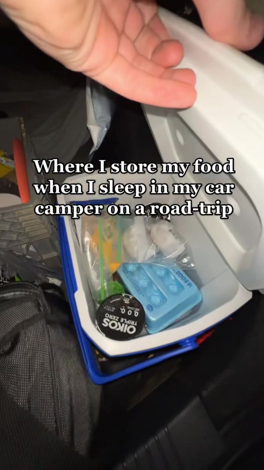 Car camping food storage hacks for better road trip meals
