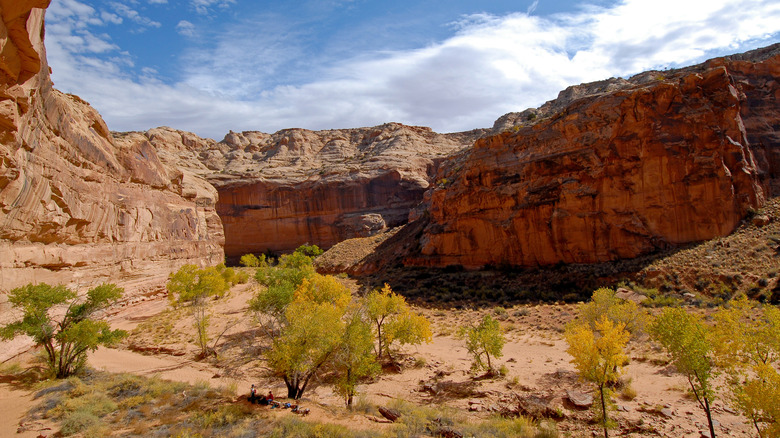 Utah's Great Gallery is ancient, mysterious art on large sandstone ...